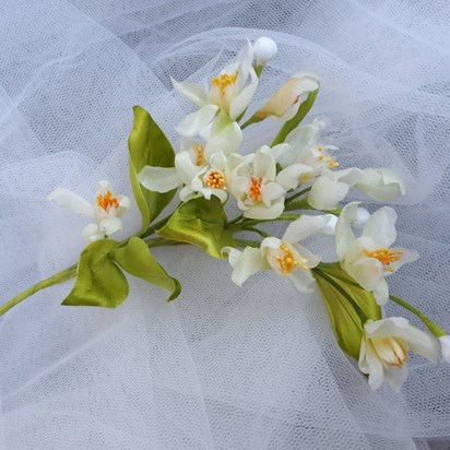 "Orange blossom" with love on your 95th birthday