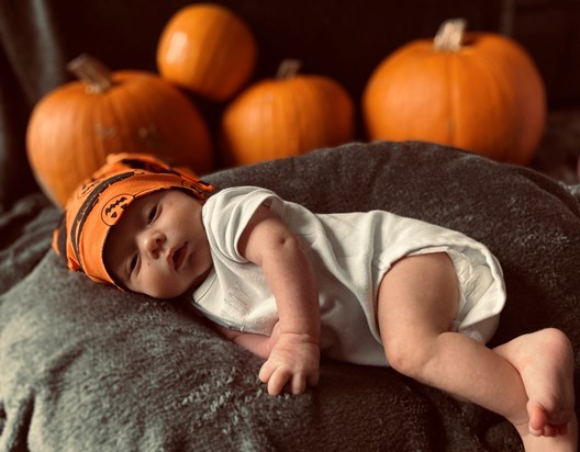 Arlo the pumpkin for Halloween 