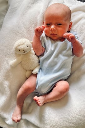 Arlo and his Little Lamb