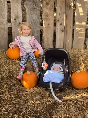 Pumpkin picking 