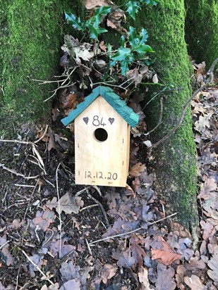 The 1st of the bird boxes Jane is putting on the trees in her woodland to commemorate Johns birthday