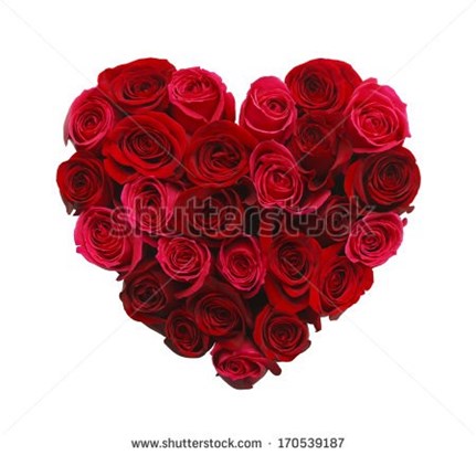 stock-photo-valentines-day-heart-made-of-red-roses-isolated-on-white-background-170539187