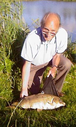 Dad carp mushroom ponds