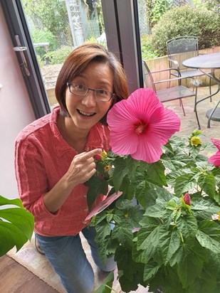 Amazed at the size of the hibiscus flower 
