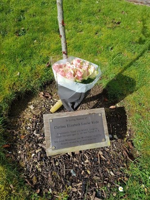 Clarissa's memorial plaque. at Winchester University
