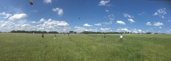 Kites flying high
