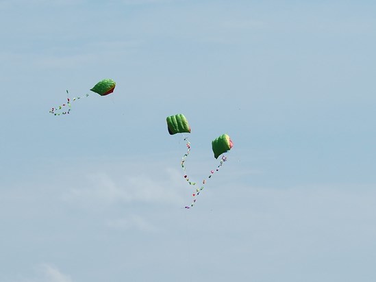 Kites on Epsom Downs