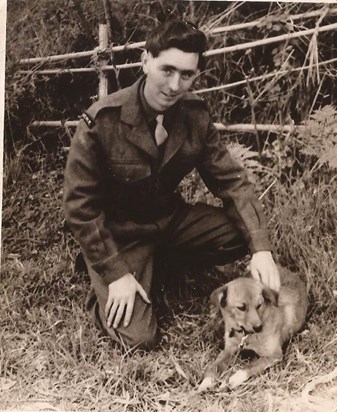 Dad cared for this stray while serving in Japan