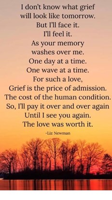 Another Christmas is upon us Jamie . The loss of you never lessens , the pain and heartache never far away . We will meet again pet , soon I hope . Love you always .much love Mum💔💔💔💔💔💔💔💔