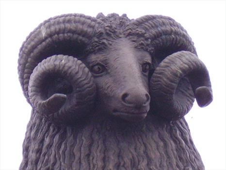 Moffat's Ram