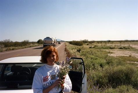 AZ Roadside flowers March 91