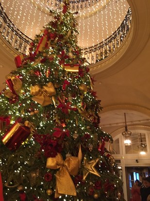 Huge Christmas Tree at the Ritz - 14.12.2019