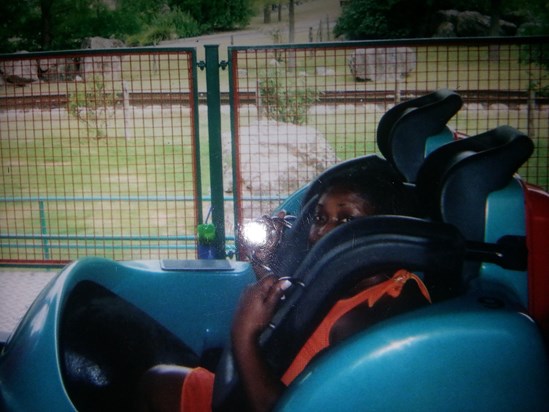 My First Roller Coaster Ride