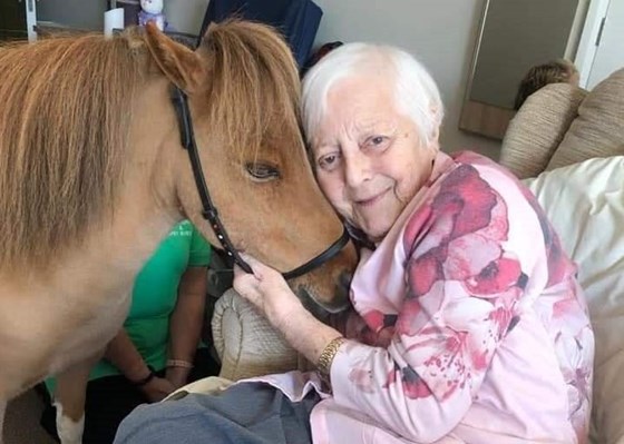 Such a lovely day she loved the visits of all the animals 