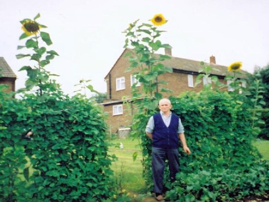 Dad in garden 2001