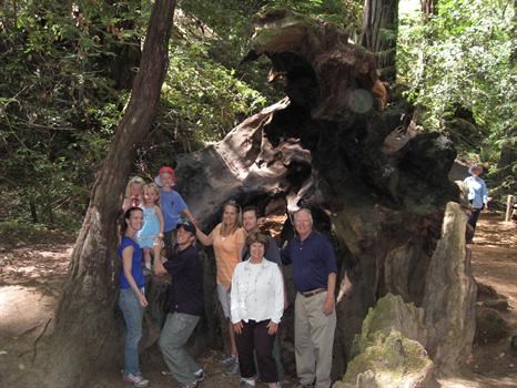 Family Fun in the Redwoods on Father's Day 2008