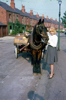 shirley with horse and cart on stainton rd