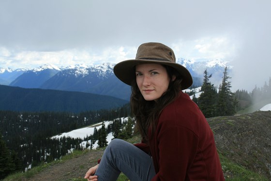 Above Hurricane Ridge, Olympic National Park