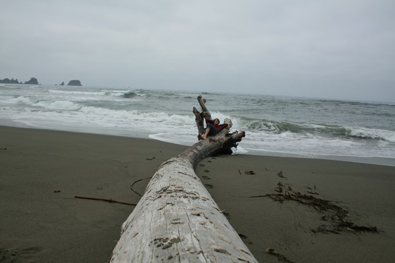 Relaxing at the beach, Olympic National Park, 2011