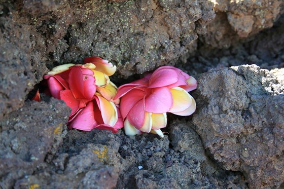 Haleakalā