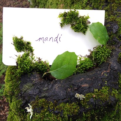 I spent the weekend outside of San Francisco & as I climbed the trees I thought of my adventurous friend. We used to build enchanted tiny worlds out of moss together. Remembering her today with a letter left way up in the sky.