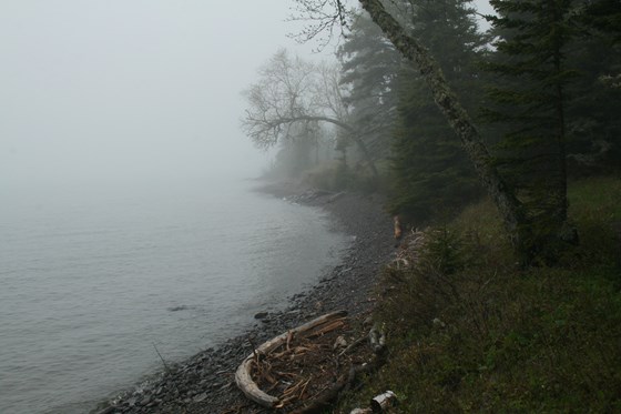 Isle Royale National Park, MI (June 2016)