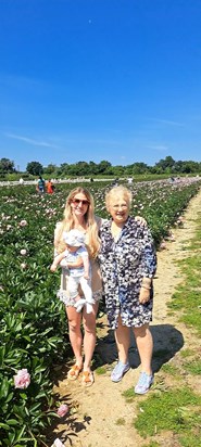 Peony fields with 🍒 