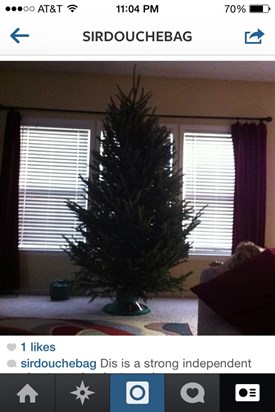 his caption says "Dis is a strong independent tree no ornaments required"