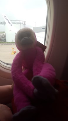 I did it.. i got on the plane and even monkey came along on the plane to Dublin Naomi ? ??