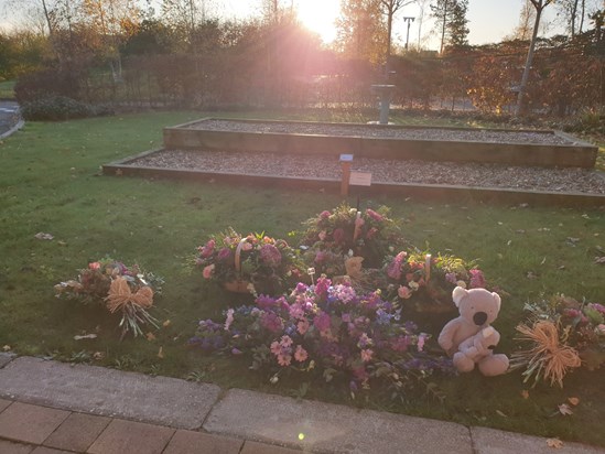 Beautiful flowers and Mum's favourite koala, bought by Dillon in early 2024.