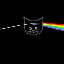 Pink Floyd Cat