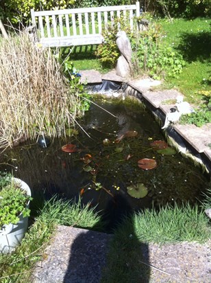 Filling the pond in the sunshine