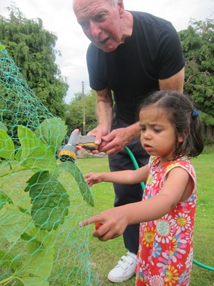 Alan passing on his passion for gardening to granddaughter Millie
