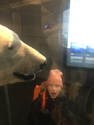 Meeting a polar bear in Reykjavik museum