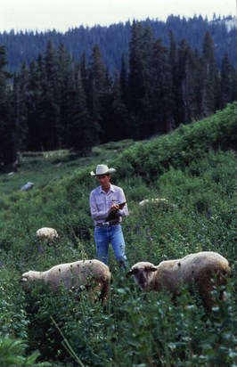 Arthur in a field with Petunia and Clarkson