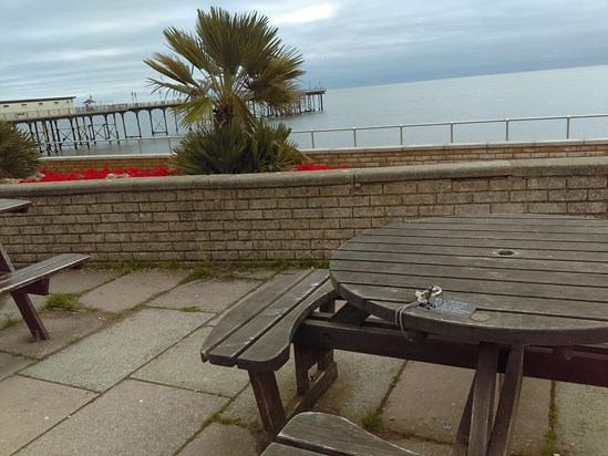 Mum and Dads Favourite Table, Beachcombers Teignmouth