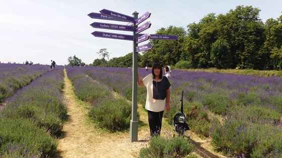 Day out at the lavender fields 