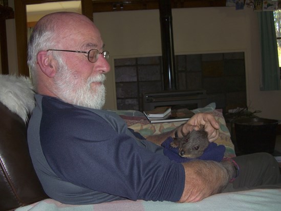 Gordon with 'Paddy', Tas pademelon orphan, Lake St Clair, Tas 2007