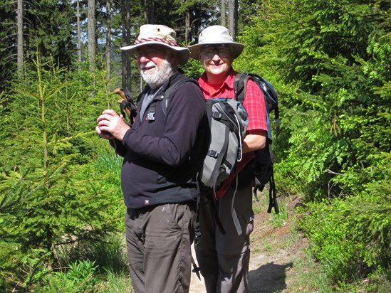 Beskid Sadecki Mts, 2013