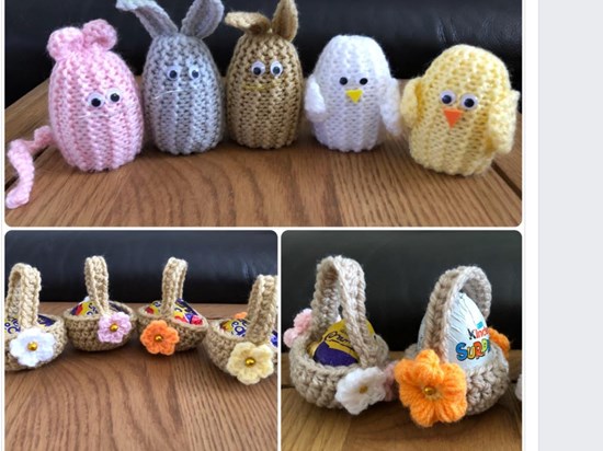 Claire’s bunnies chicks and mice.  Fundraising for LOROS.
