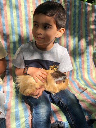 Nael loved Guinea Pigs