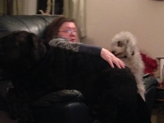 Mum getting squashed by Storm and Bella x