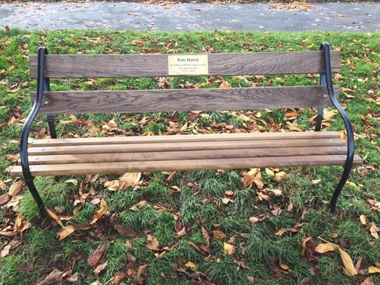 Memorial bench in situ on the Downs