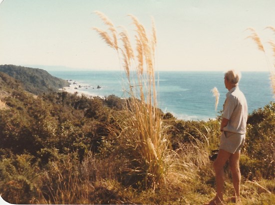 George loved New Zealand's beautiful coastline
