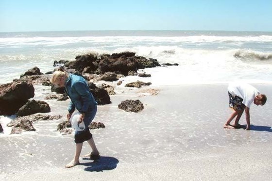 Ann's favorite!  Looking for sea shells at Siesta Key, FL with Austin