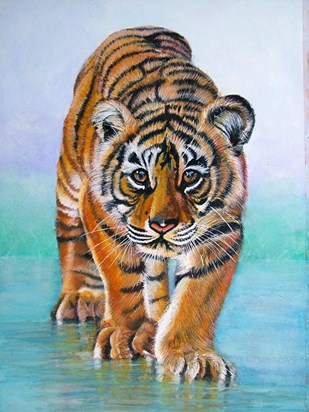 Tiger cub ammendment