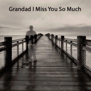 Grandad I Miss You