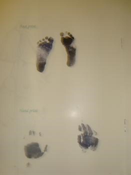 chloes hand and footprints[1]