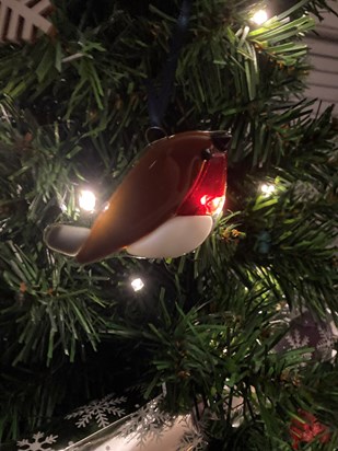 They say Robin’s appear when loved ones are near. Deli’s Robin is in pride of place on my Christmas tree.