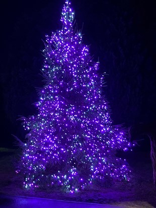 Adele’s kind of tree! Purple and twinkly ☺️